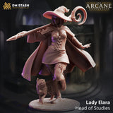Resin 3D-printed miniature of Lady Elara the human wizard with her cat, rendered in high detail.