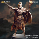 Resin 3D-printed miniature of a Sun Elf Gladiator, Vilryn Kaedrys, holding a sword and shield in a combat stance.