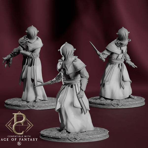 Untoter Schwertkämpfer Tabletop-Miniatur – Chainbound Initiate | Qumi