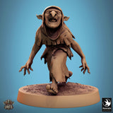 Humanoid Goblin Tabletop Miniatures by Qumi, 3D printed resin tabletop miniature for RPGs, wargaming and painting