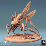 High angle view of Fyrionis with a mounted rider, showing the creature's wing detail.