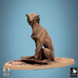 Gesattelte Solaris-Panthera im vollen Sprint, Seitenprofilansicht.