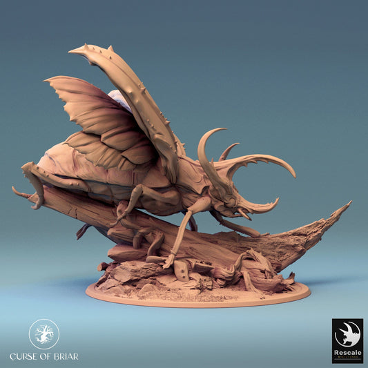 Tabletop RPG Miniature Royal Fae - 32mm Qumi - Rescale Miniatures Wild Quality Miniatures - Qumi Wargaming Mini Model Figure